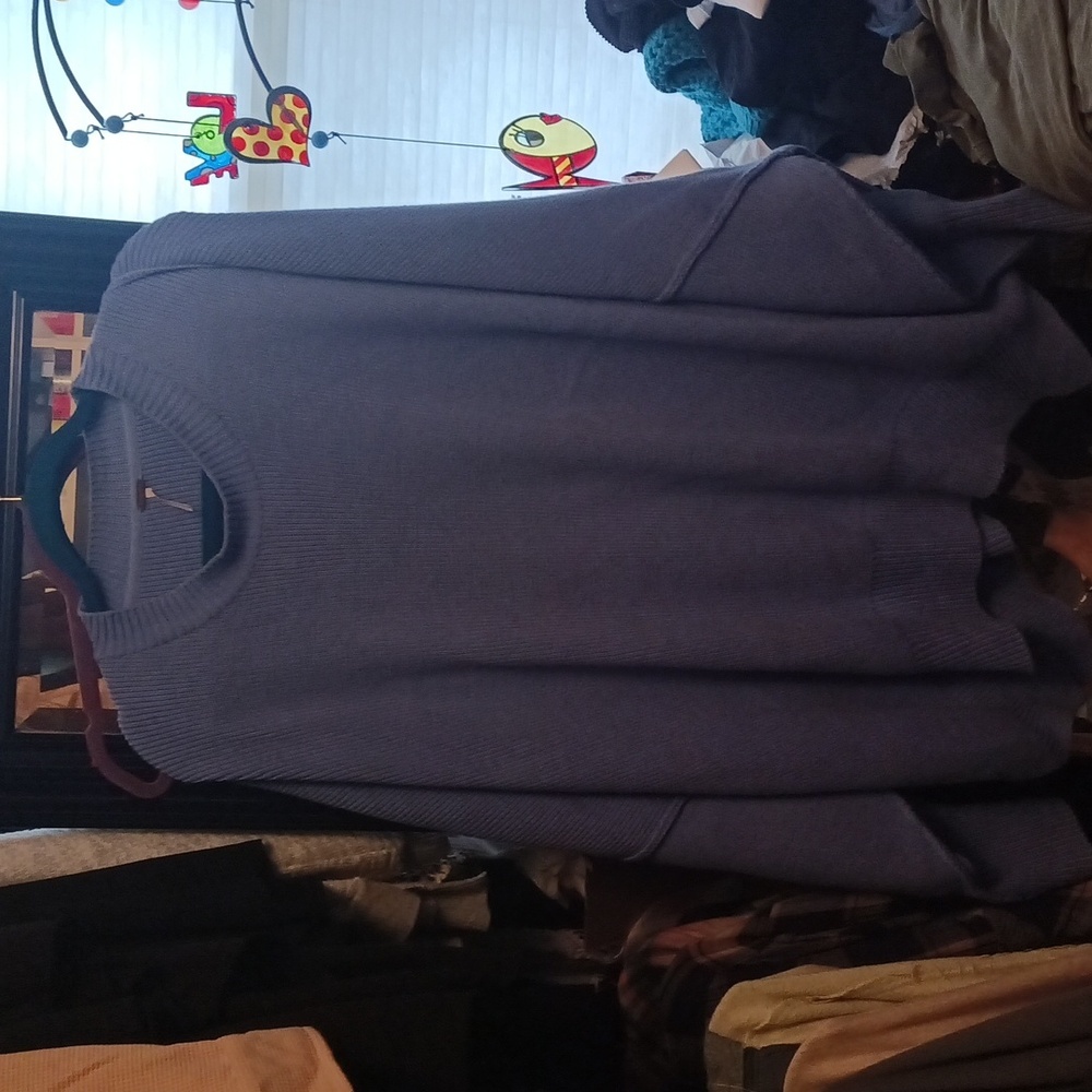 Free People Blue Crew Neck Sweater
